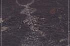 Alamo Mountain Petroglyphs