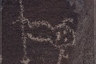 Alamo Mountain Petroglyphs