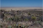 Alamo Mountain Petroglyphs