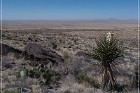 Alamo Mountain Petroglyphs