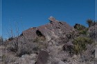 Alamo Mountain Petroglyphs