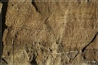 Petroglyph Trail