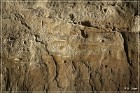 Petroglyph Trail