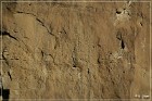 Petroglyph Trail
