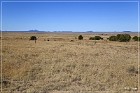 Dittert Site
