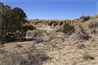 Dittert Site