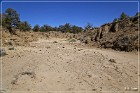 Dittert Site