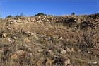 Dittert Site