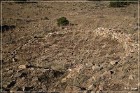 Dittert Site