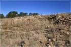 Dittert Site