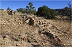 Dittert Site