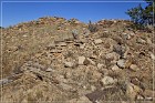 Dittert Site