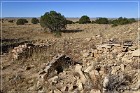 Dittert Site