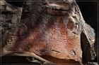 Trail to the Past, Pictograph