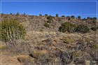 La Cieneguilla Petroglyphs