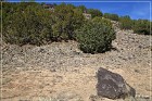 La Cieneguilla Petroglyphs