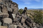 La Cieneguilla Petroglyphs