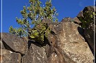 La Cieneguilla Petroglyphs