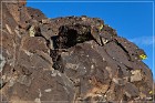 La Cieneguilla Petroglyphs