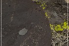 La Cieneguilla Petroglyphs