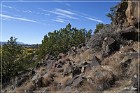 La Cieneguilla Petroglyphs