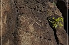 La Cieneguilla Petroglyphs