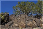 La Cieneguilla Petroglyphs