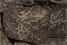La Cieneguilla Petroglyphs