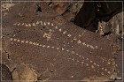 La Cieneguilla Petroglyphs