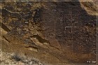 Lobo Canyon Petroglyphs