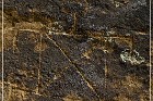 Lobo Canyon Petroglyphs
