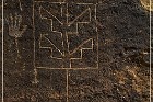 Lobo Canyon Petroglyphs