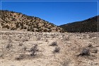 Lobo Canyon Petroglyphs