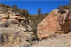 Lobo Canyon Petroglyphs