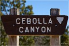 Lobo Canyon Petroglyphs