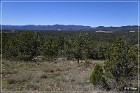 Mogollon Culture Petroglyph Site