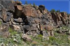 Mogollon Culture Petroglyph Site
