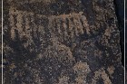 Mogollon Culture Petroglyph Site