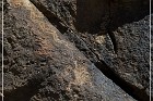 Mogollon Culture Petroglyph Site