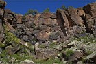 Mogollon Culture Petroglyph Site