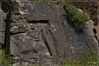 Mogollon Culture Petroglyph Site