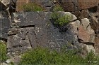 Mogollon Culture Petroglyph Site