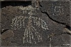 Mogollon Culture Petroglyph Site