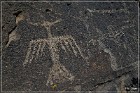 Mogollon Culture Petroglyph Site