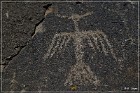 Mogollon Culture Petroglyph Site