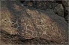 Mogollon Culture Petroglyph Site