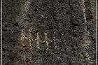 Mogollon Culture Petroglyph Site