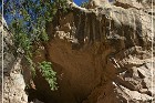 Nogales Cliff House