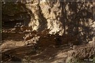 Nogales Cliff House