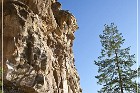 Nogales Cliff House